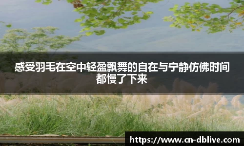 感受羽毛在空中轻盈飘舞的自在与宁静仿佛时间都慢了下来